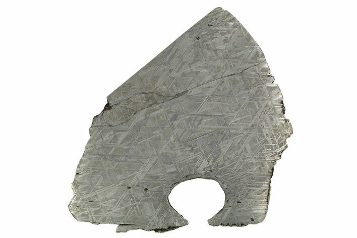 Etched Muonionalusta Meteorite Slice ( g) - Sweden #316715